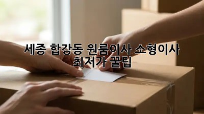 세종 합강동 원룸이사, 소형이사 최저가 꿀팁! ✨