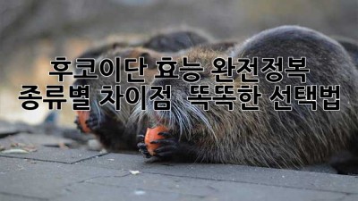 후코이단 효능 완전정복! 🔬 종류별 차이점 & 똑똑한 선택법 ✨