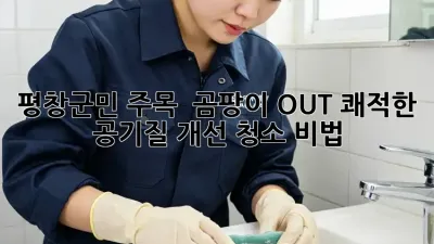 평창군민 주목! 🏡 곰팡이 OUT! 쾌적한 공기질 개선 청소 비법 💯